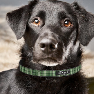 Green And Black Plaid Tartan Pattern With Name Pet Collar
