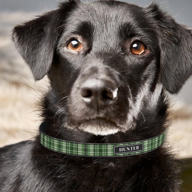 Green And Black Plaid Tartan Pattern With Name Pet Collar (Please note: This image is a digital mockup. The product may not be in scale.)