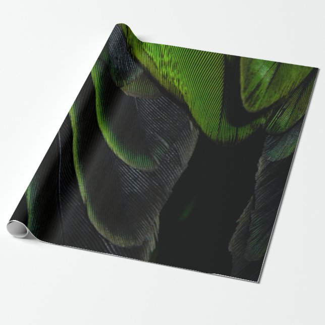 Green and black plaid textile wrapping paper (Unrolled)