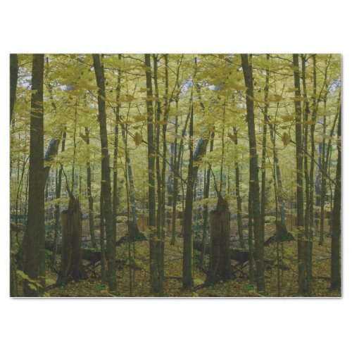 Green and black trees tissue paper