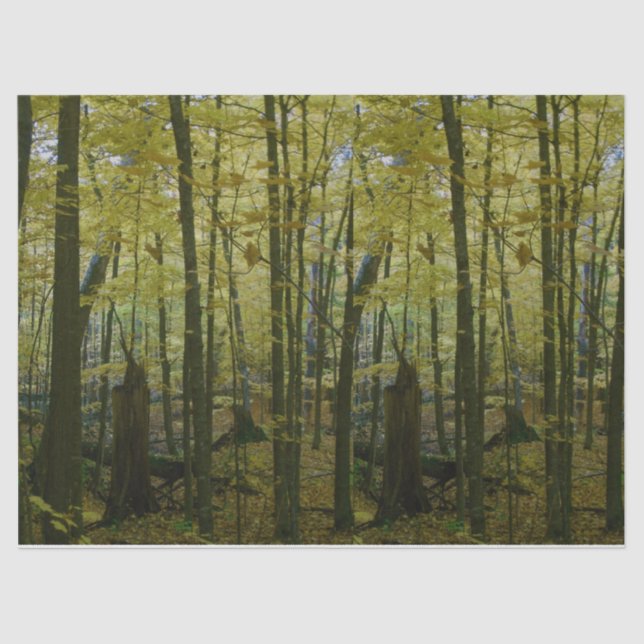 Green and black trees tissue paper (Front)