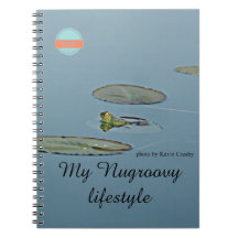 Green and blue frog transitioning to the third age