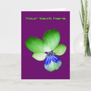 Green And Blue Pansy Custom Greeting Card by Fallen_Angel_483 at Zazzle