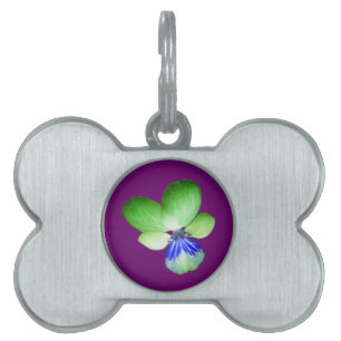 Green and Blue Pansy Pet Tag