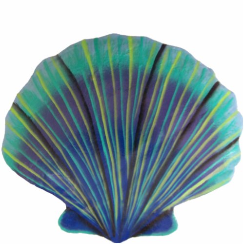 Green and Blue Scallop Shell Magnet