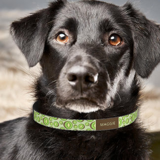 Green And Brown Kiwifruit Pattern With Custom Name Pet Collar