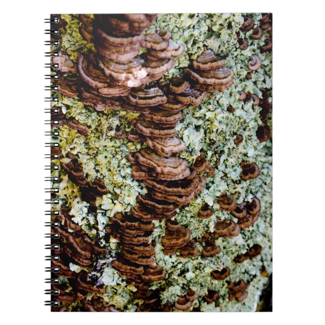 Green and Brown Mushrooms Spiral Photo Notebook (Front)