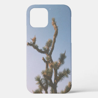 GREEN AND BROWN TREE UNDER BLUE SKY iPhone 12 CASE