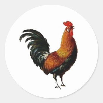Green And Gold Vintage Rooster Painting Classic Round Sticker by CorgisandThings at Zazzle