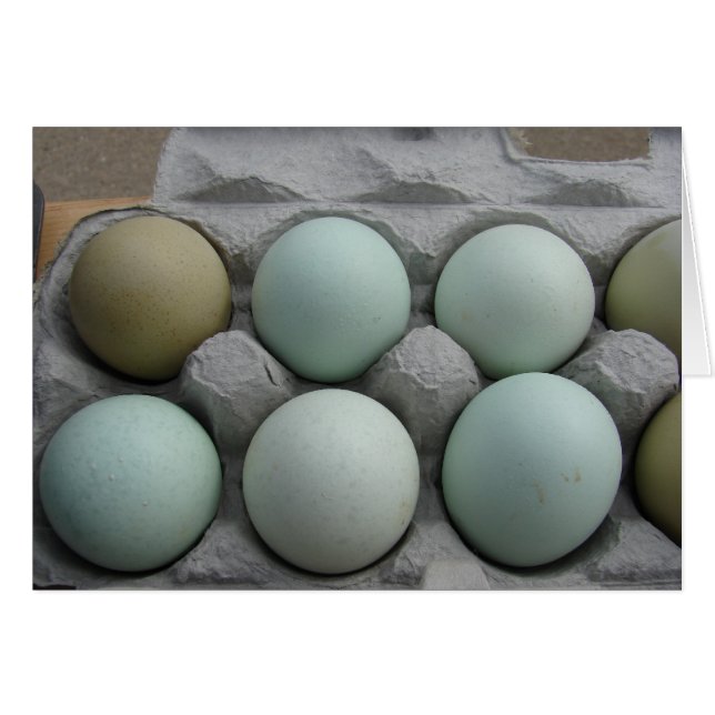 Green and Olive Eggs Cards (Front Horizontal)