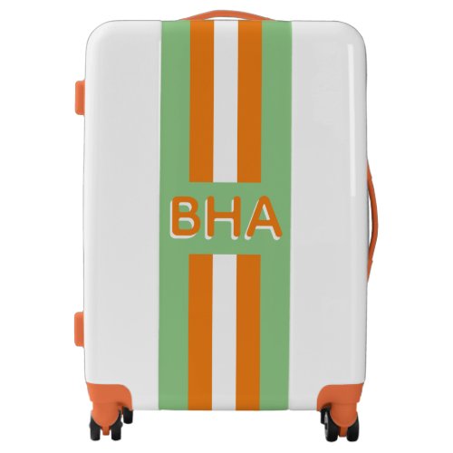 Green and Orange Monogram and Stripe Luggage