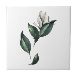 Green and White Magnolia Botanical Art Tile