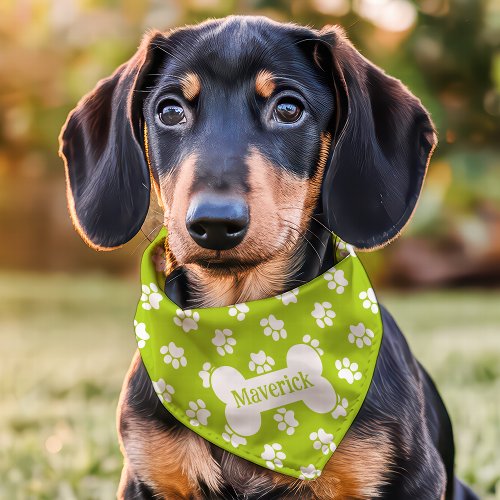 Green And White Paw Print Dog Bone Custom Name Pet Bandana Collar