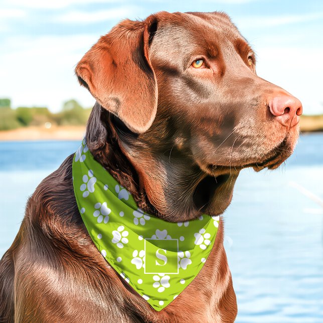 Green And White Polka Dot Paw Print Monogram Pet Bandana Collar (Creator Uploaded)
