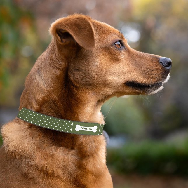 Green And White Polka Dots With Bone & Name Pet Collar (Please note: This image is a digital mockup. The product may not be in scale.)