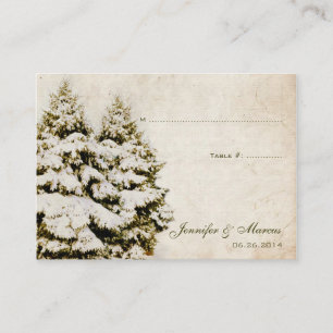 Green and White Snowflake Vintage Seating Card