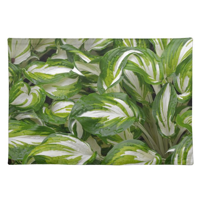 Green and white striped hosta leaves cloth placemat (Front)