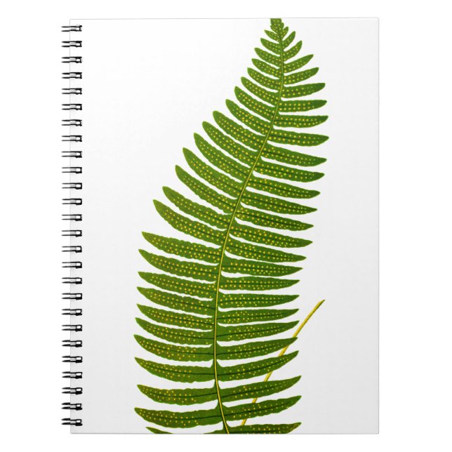 Green and Yellow Fern Leaf Botanical Illustration Notebook (Front)
