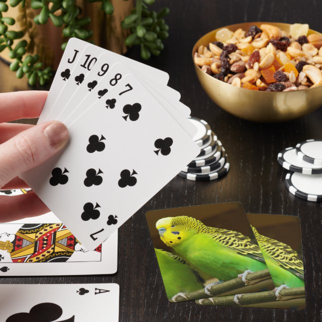 Green and Yellow Parakeet Photo Poker Cards (In Situ)