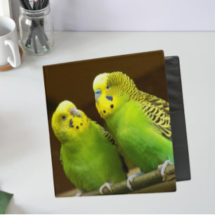 Green and Yellow Parakeets 3 Ring Binder