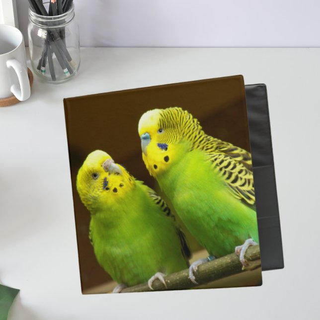 Green and Yellow Parakeets 3 Ring Binder (In Situ Front)