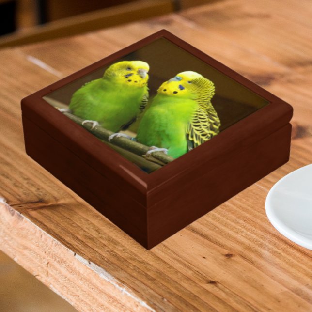 Green and Yellow Parakeets Gift Box (In Situ Angled)