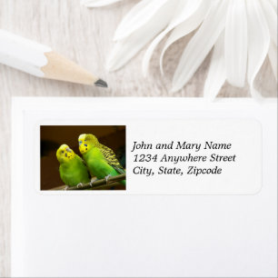 Green and Yellow Parakeets Return Address Label