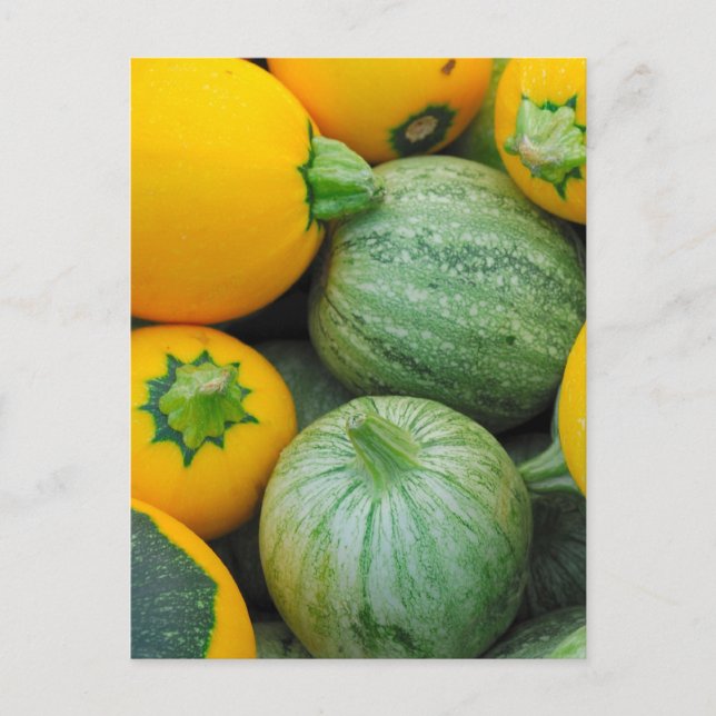 Green And Yellow Squash Postcard (Front)