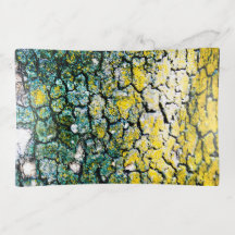 Green and Yellow Tree Bark