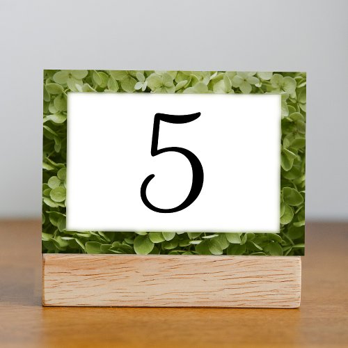 Green Annabelle Hydrangea Floral Table Numbers