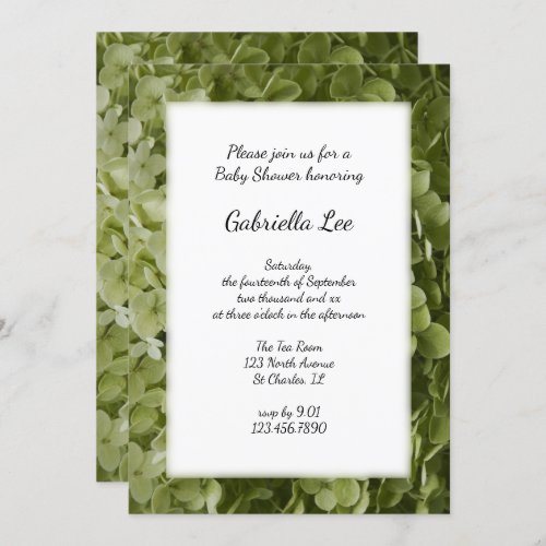 Green Annabelle Hydrangea Flower Baby Shower Invitation