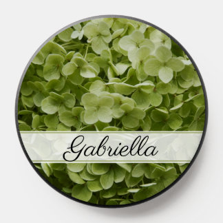Green Annabelle Hydrangea Flower PopSocket