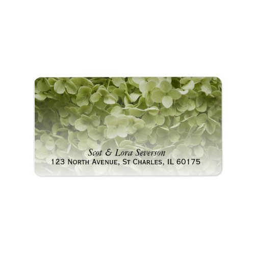 Green Annabelle Hydrangea Flowers Return Address Label