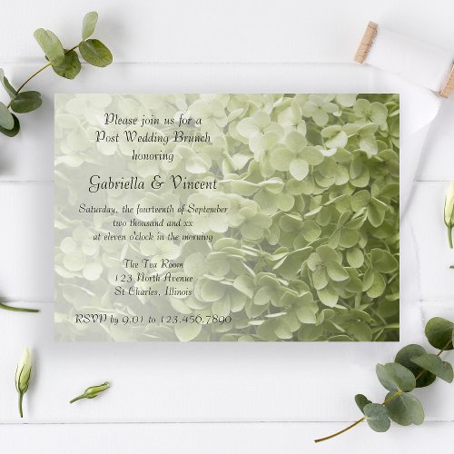 Green Annabelle Hydrangea Post Wedding Brunch Invitation