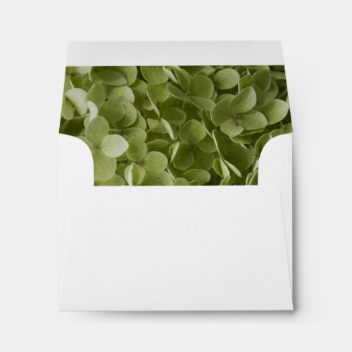 Green Annabelle Hydrangea Wedding RSVP Envelope