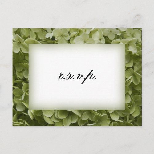 Green Annabelle Hydrangea Wedding RSVP Invitation Postcard