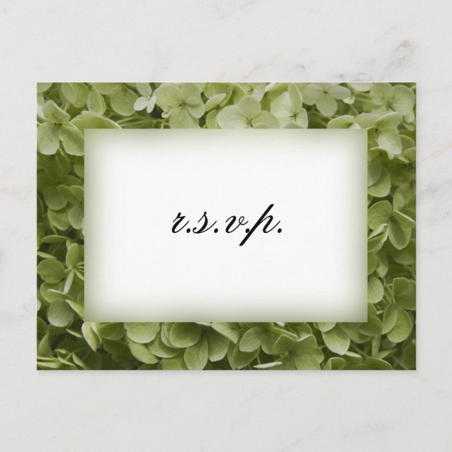 Green Annabelle Hydrangea Wedding RSVP Invitation Postcard (Front)