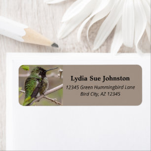 Green Anna's Hummingbird On Mesquite Tree Branch Label
