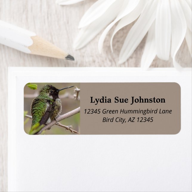 Green Anna's Hummingbird On Mesquite Tree Branch Label (Insitu)
