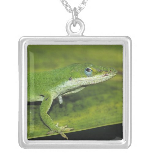 Green Anole Anolis carolinensis adult on palm Silver Plated Necklace