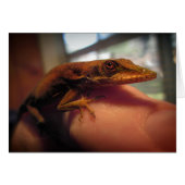 Green Anole Lizard (Front Horizontal)