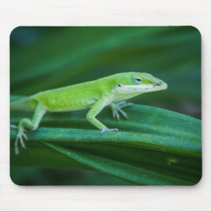 Green Anole Lizard Mouse Pad