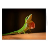 Green Anole Lizard with Red Thraot (Front Horizontal)