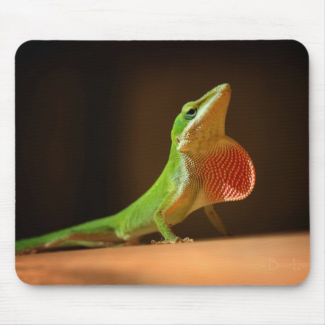 Green Anole Lizard with Red Thraot Mouse Pad (Front)