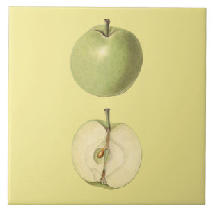 Green Apple Botanical Tile ~ Kitchen ~ Any Color ~