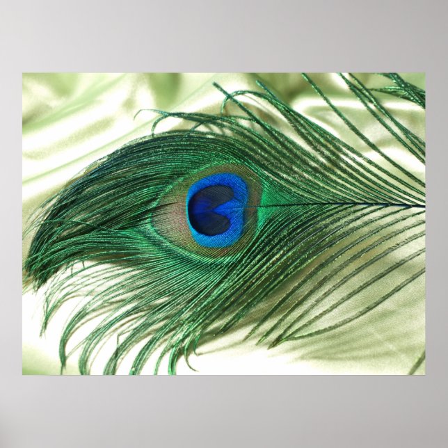 Green Apple Peacock Sill Life Poster (Front)