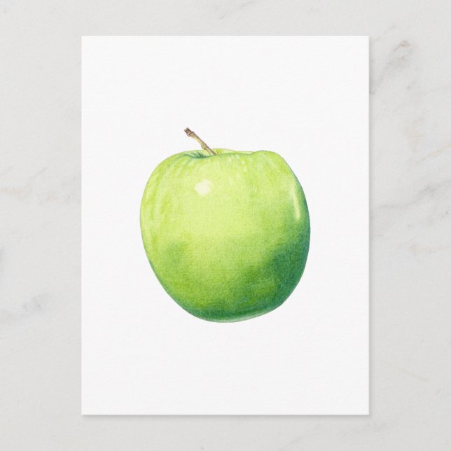 Green Apple Postcard (Front)