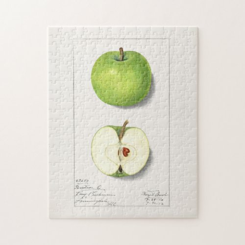 Green Apples Malus Domestica Fruit Painting Jigsaw Puzzle