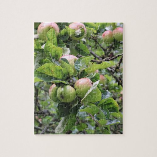 Green Apples on Tree Jigsaw Puzzle