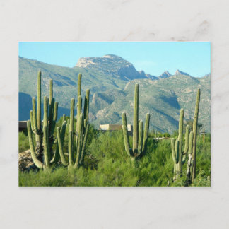 "Green Arizona" Postcard